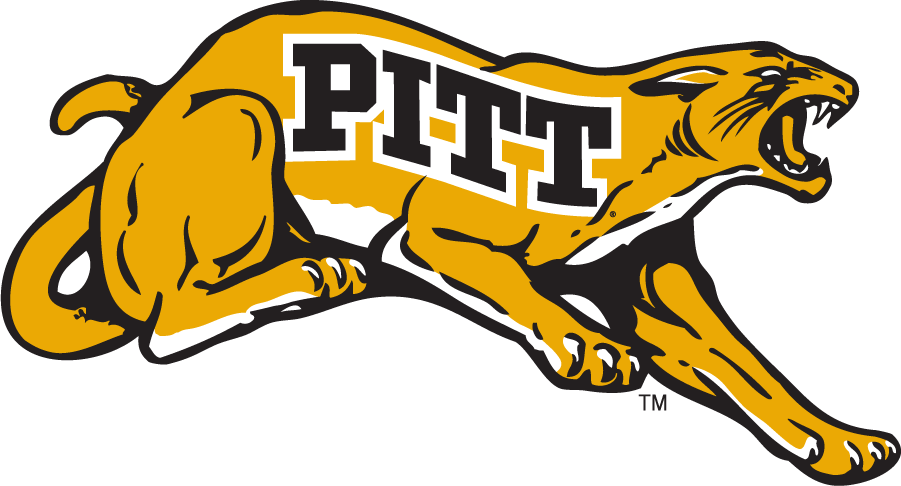 Pittsburgh Panthers 1970-1976 Alternate Logo diy DTF decal sticker